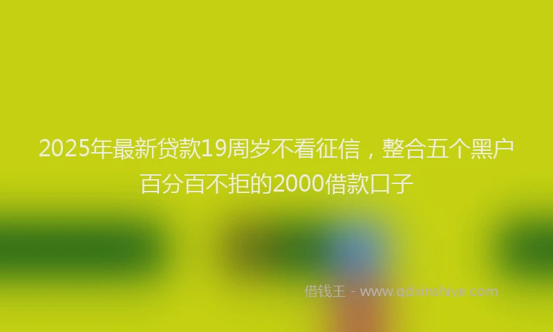 2025年最新贷款19周岁不看征信，整合五个黑户百分百不拒的2000借款口子