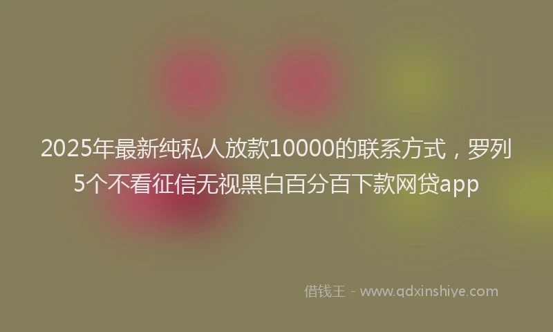 2025年最新纯私人放款10000的联系方式，罗列5个不看征信无视黑白百分百下款网贷app