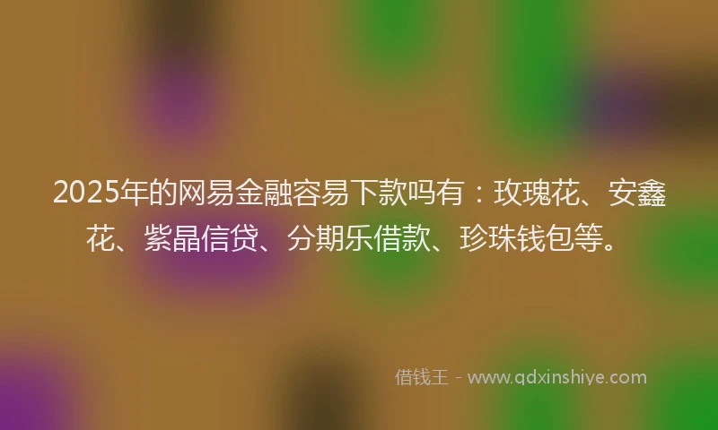 2025年的网易金融容易下款吗有：玫瑰花、安鑫花、紫晶信贷、分期乐借款、珍珠钱包等。
