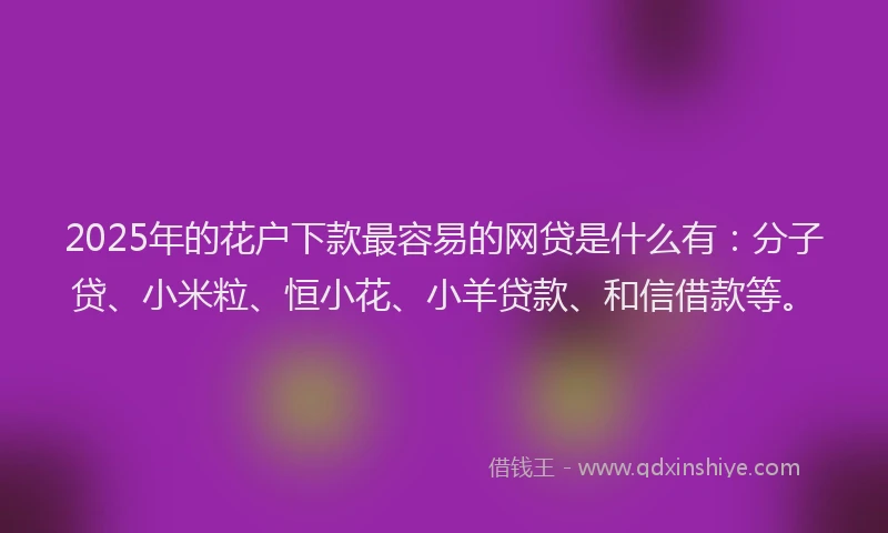 2025年的花户下款最容易的网贷是什么有：分子贷、小米粒、恒小花、小羊贷款、和信借款等。