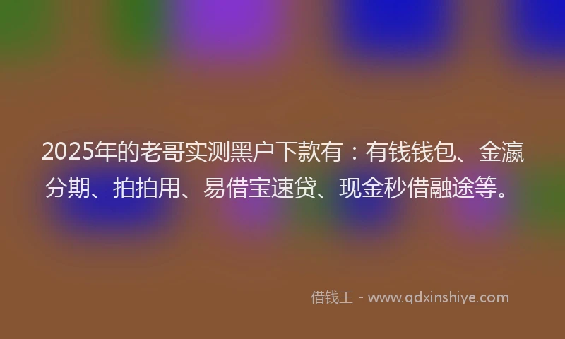 2025年的老哥实测黑户下款有：有钱钱包、金瀛分期、拍拍用、易借宝速贷、现金秒借融途等。