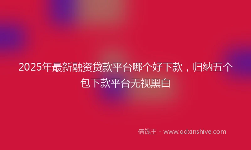 2025年最新融资贷款平台哪个好下款，归纳五个包下款平台无视黑白