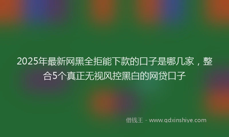 2025年最新网黑全拒能下款的口子是哪几家，整合5个真正无视风控黑白的网贷口子