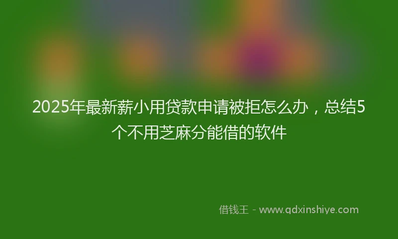 2025年最新薪小用贷款申请被拒怎么办，总结5个不用芝麻分能借的软件