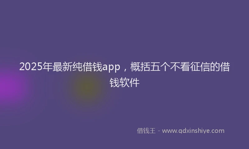 2025年最新纯借钱app，概括五个不看征信的借钱软件