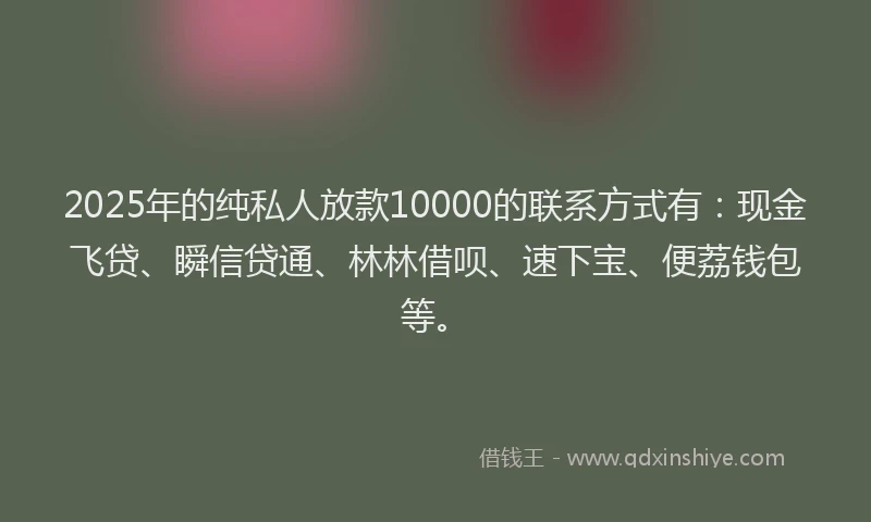 2025年的纯私人放款10000的联系方式有:现金飞贷、瞬信贷通、林林借呗、速下宝、便荔钱包等。