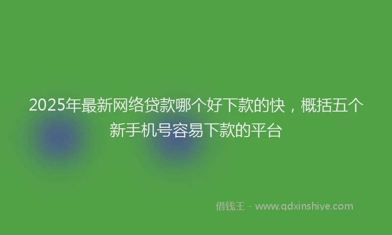 2025年最新网络贷款哪个好下款的快，概括五个新手机号容易下款的平台