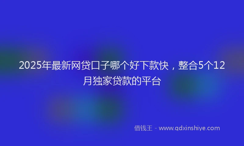 2025年最新网贷口子哪个好下款快，整合5个12月独家贷款的平台