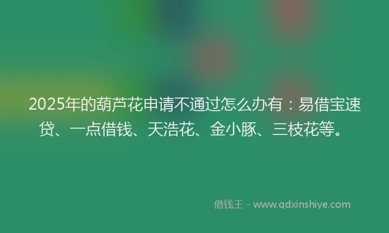 2025年的葫芦花申请不通过怎么办有：易借宝速贷、一点借钱、天浩花、金小豚、三枝花等。