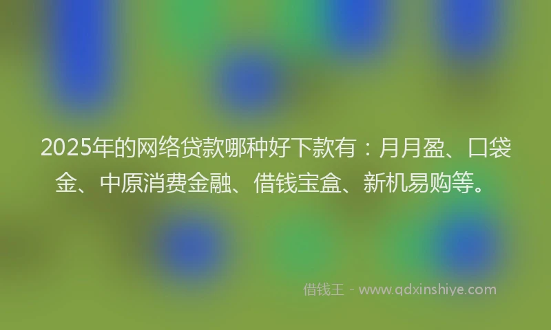 2025年的网络贷款哪种好下款有：月月盈、口袋金、中原消费金融、借钱宝盒、新机易购等。