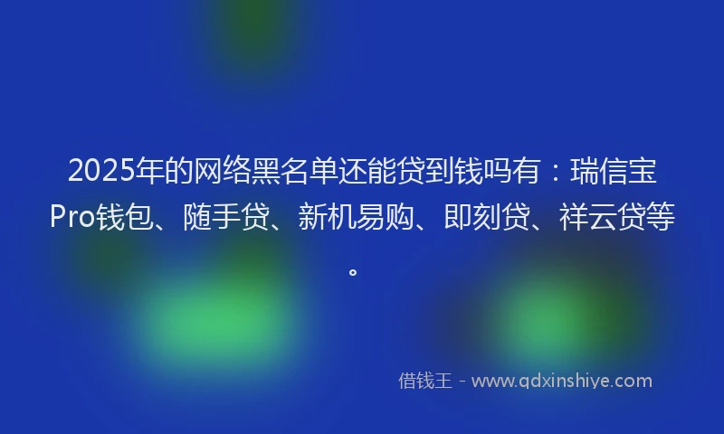 2025年的网络黑名单还能贷到钱吗有：瑞信宝Pro钱包、随手贷、新机易购、即刻贷、祥云贷等。