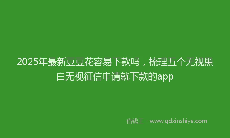 2025年最新豆豆花容易下款吗，梳理五个无视黑白无视征信申请就下款的app