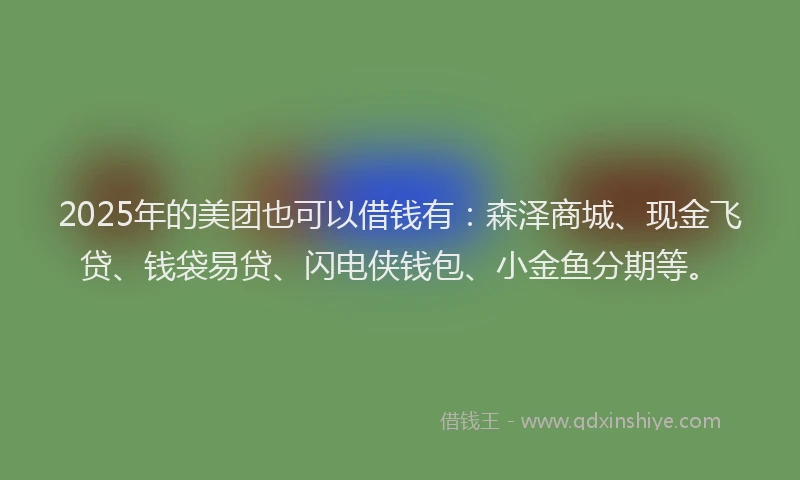 2025年的美团也可以借钱有：森泽商城、现金飞贷、钱袋易贷、闪电侠钱包、小金鱼分期等。