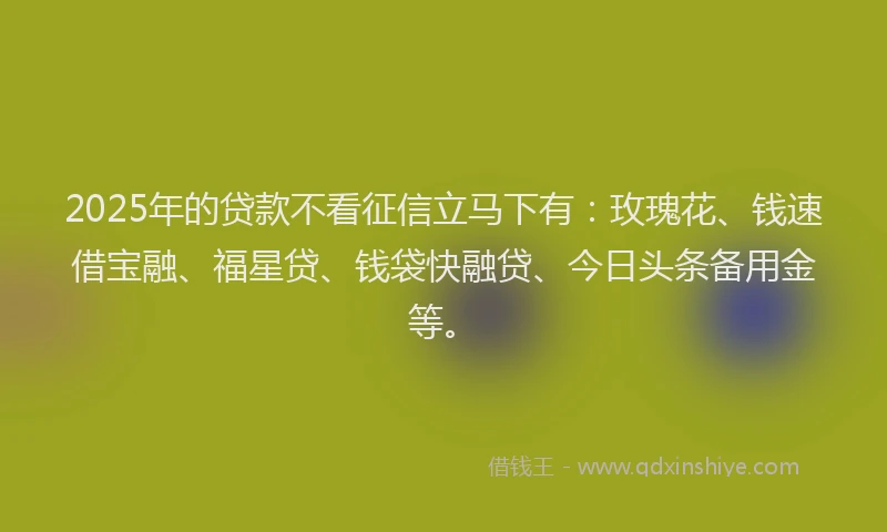 2025年的贷款不看征信立马下有：玫瑰花、钱速借宝融、福星贷、钱袋快融贷、今日头条备用金等。