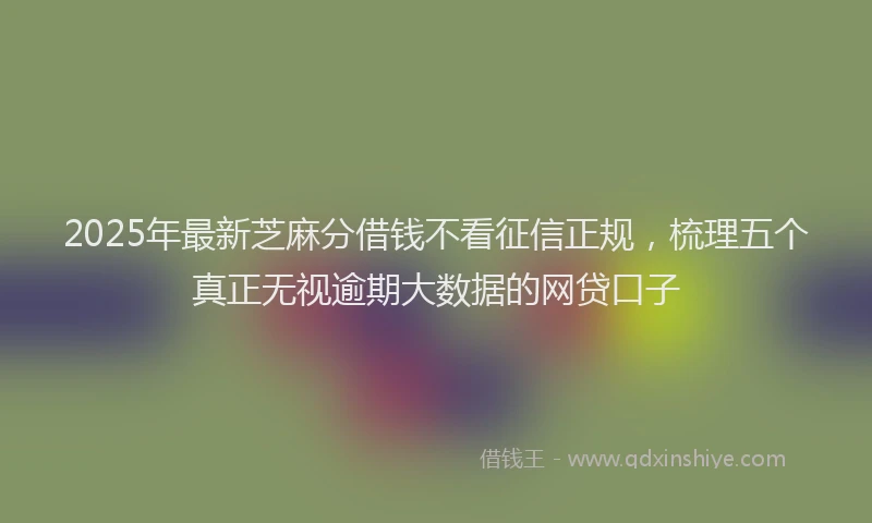 2025年最新芝麻分借钱不看征信正规，梳理五个真正无视逾期大数据的网贷口子