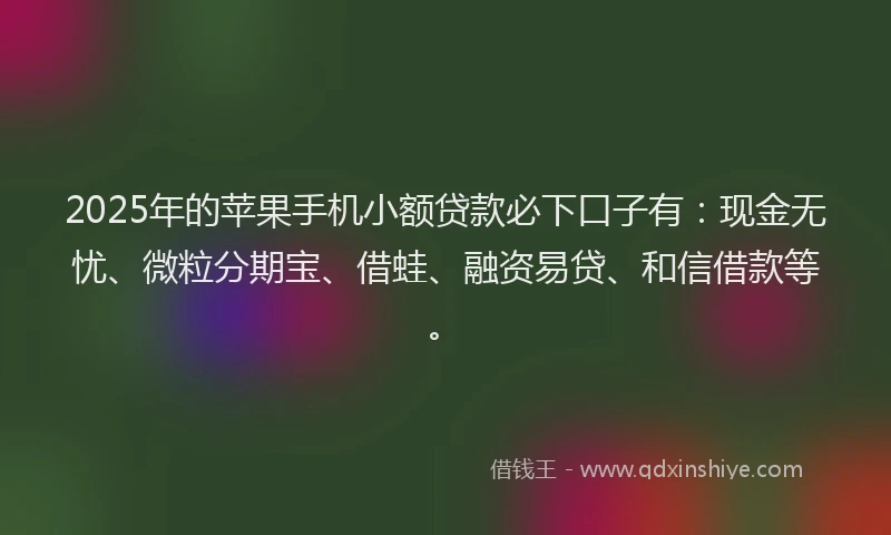 2025年的苹果手机小额贷款必下口子有：现金无忧、微粒分期宝、借蛙、融资易贷、和信借款等。