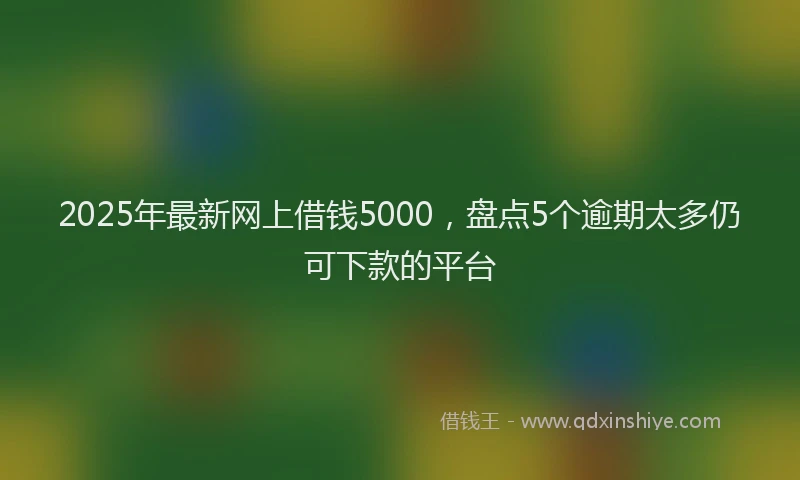 2025年最新网上借钱5000，盘点5个逾期太多仍可下款的平台