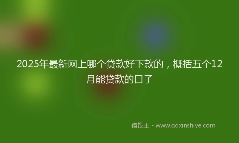 2025年最新网上哪个贷款好下款的，概括五个12月能贷款的口子