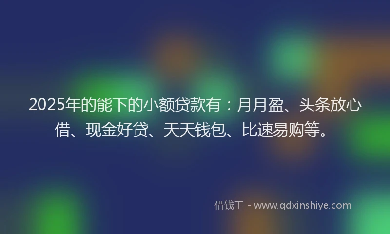 2025年的能下的小额贷款有：月月盈、头条放心借、现金好贷、天天钱包、比速易购等。