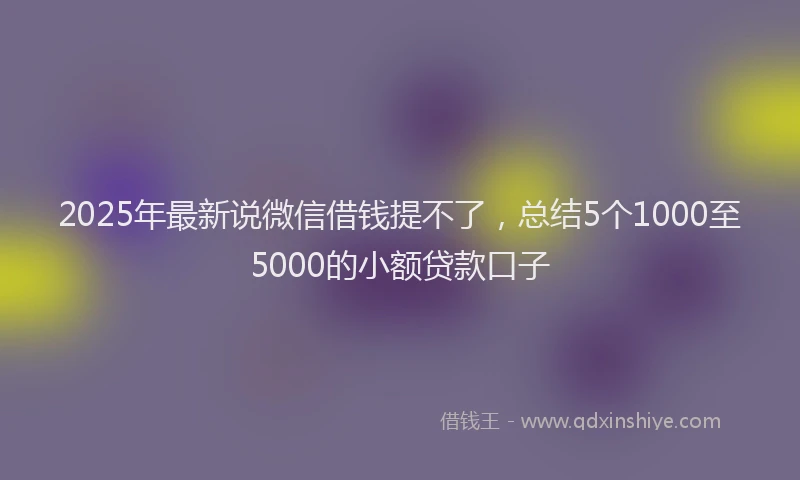 2025年最新说微信借钱提不了，总结5个1000至5000的小额贷款口子