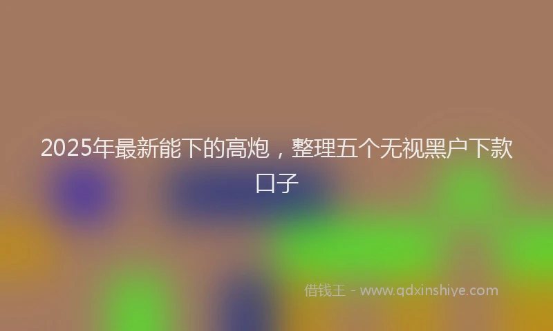 2025年最新能下的高炮，整理五个无视黑户下款口子