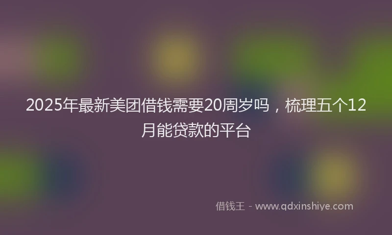 2025年最新美团借钱需要20周岁吗，梳理五个12月能贷款的平台