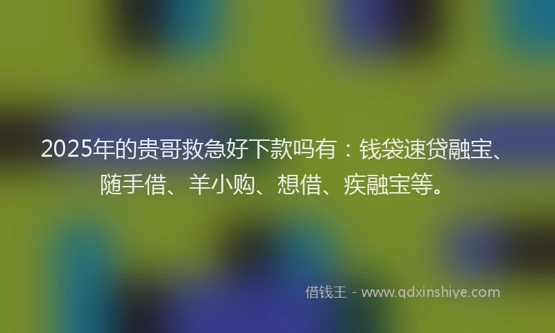 2025年的贵哥救急好下款吗有：钱袋速贷融宝、随手借、羊小购、想借、疾融宝等。