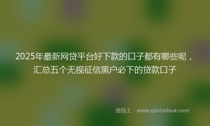 2025年最新网贷平台好下款的口子都有哪些呢，汇总五个无视征信黑户必下的贷款口子