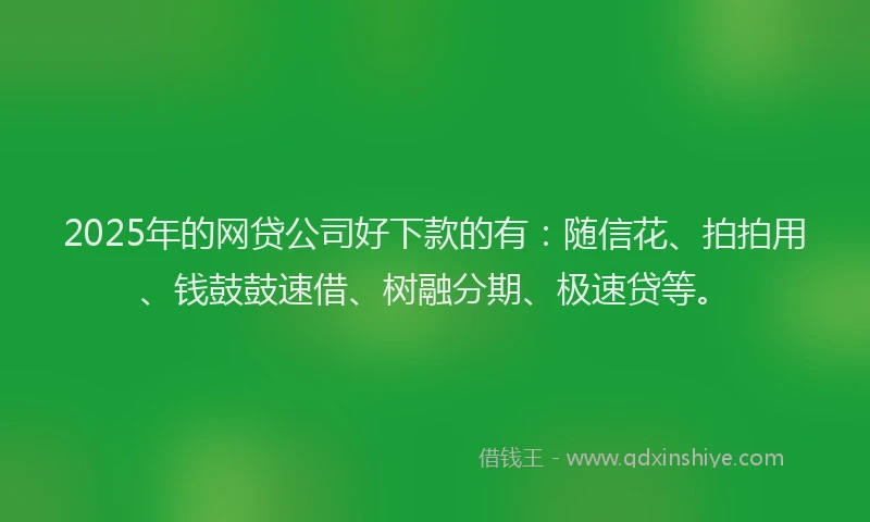 2025年的网贷公司好下款的有：随信花、拍拍用、钱鼓鼓速借、树融分期、极速贷等。