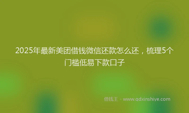 2025年最新美团借钱微信还款怎么还，梳理5个门槛低易下款口子