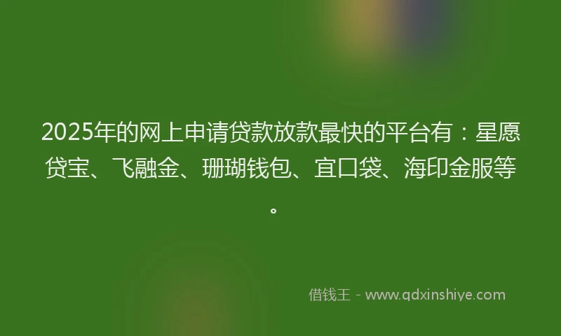 2025年的网上申请贷款放款最快的平台有：星愿贷宝、飞融金、珊瑚钱包、宜口袋、海印金服等。