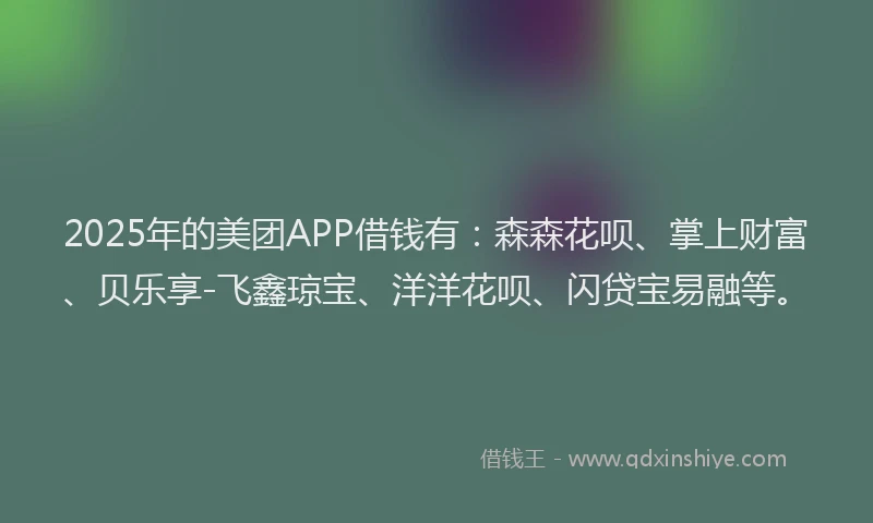 2025年的美团APP借钱有：森森花呗、掌上财富、贝乐享-飞鑫琼宝、洋洋花呗、闪贷宝易融等。
