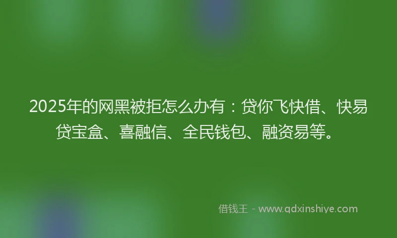 2025年的网黑被拒怎么办有：贷你飞快借、快易贷宝盒、喜融信、全民钱包、融资易等。