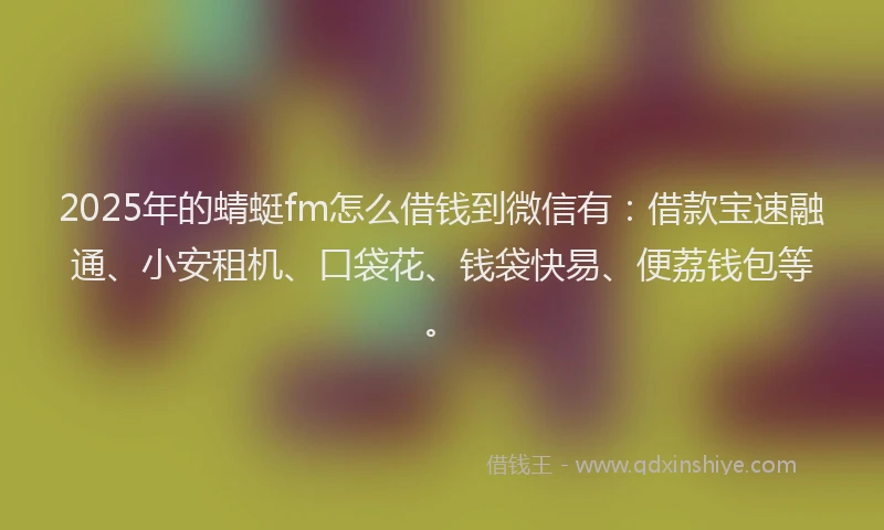 2025年的蜻蜓fm怎么借钱到微信有：借款宝速融通、小安租机、口袋花、钱袋快易、便荔钱包等。