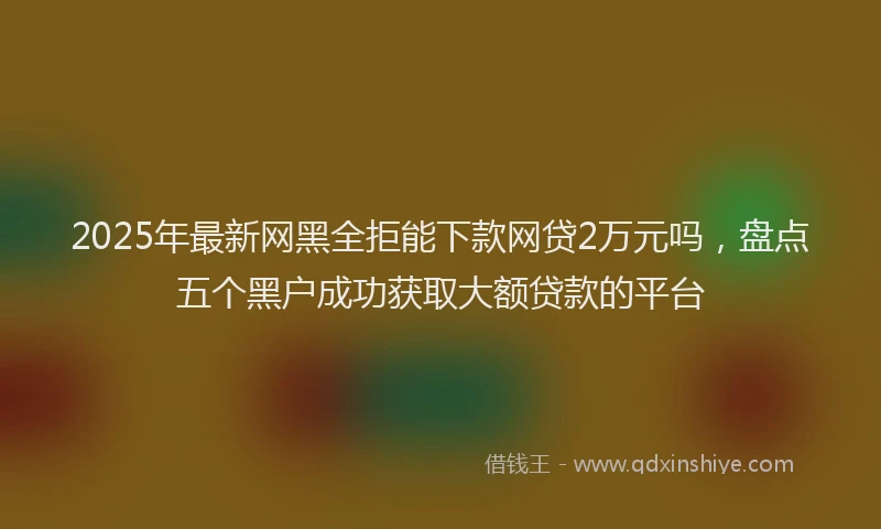 2025年最新网黑全拒能下款网贷2万元吗，盘点五个黑户成功获取大额贷款的平台