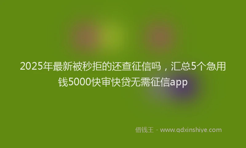 2025年最新被秒拒的还查征信吗，汇总5个急用钱5000快审快贷无需征信app
