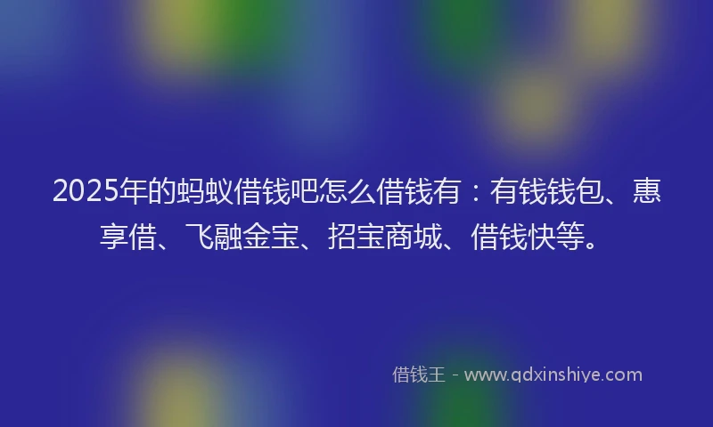 2025年的蚂蚁借钱吧怎么借钱有：有钱钱包、惠享借、飞融金宝、招宝商城、借钱快等。
