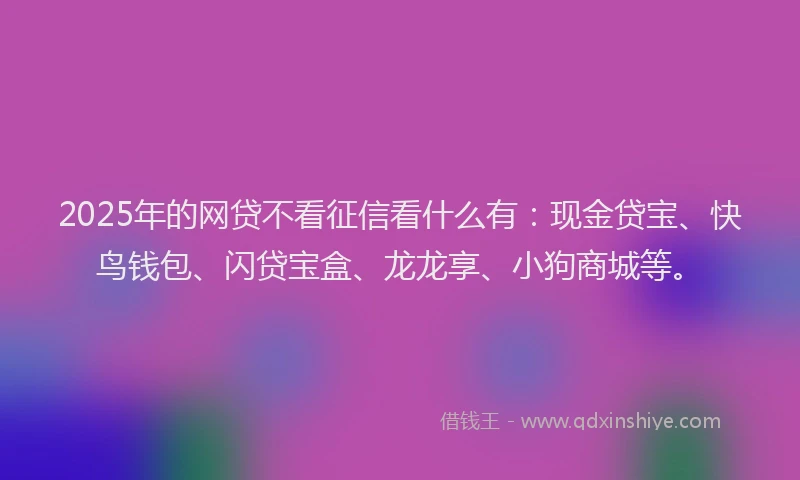 2025年的网贷不看征信看什么有：现金贷宝、快鸟钱包、闪贷宝盒、龙龙享、小狗商城等。