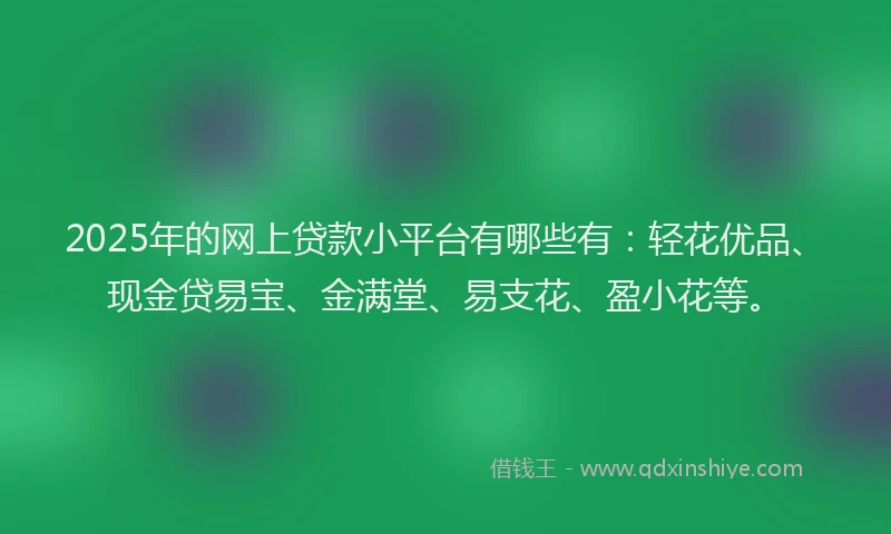 2025年的网上贷款小平台有哪些有：轻花优品、现金贷易宝、金满堂、易支花、盈小花等。