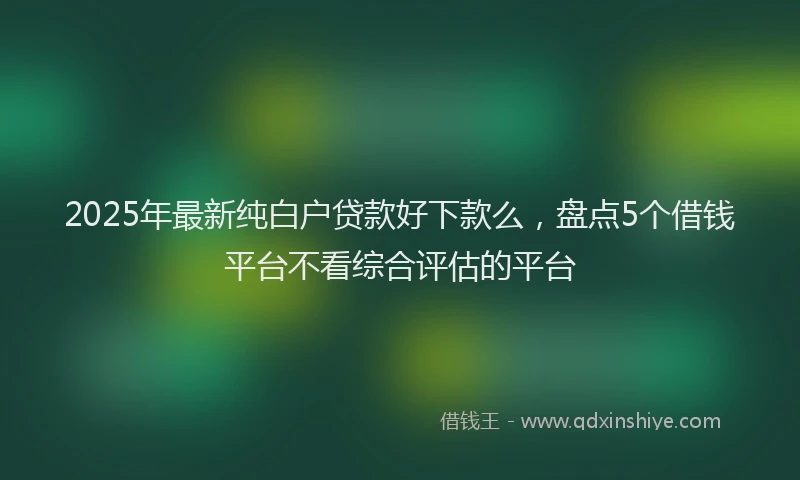2025年最新纯白户贷款好下款么，盘点5个借钱平台不看综合评估的平台
