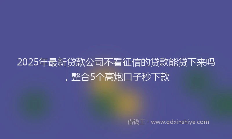 2025年最新贷款公司不看征信的贷款能贷下来吗，整合5个高炮口子秒下款