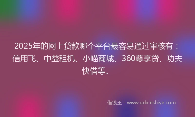 2025年的网上贷款哪个平台最容易通过审核有：信用飞、中益租机、小喵商城、360尊享贷、功夫快借等。