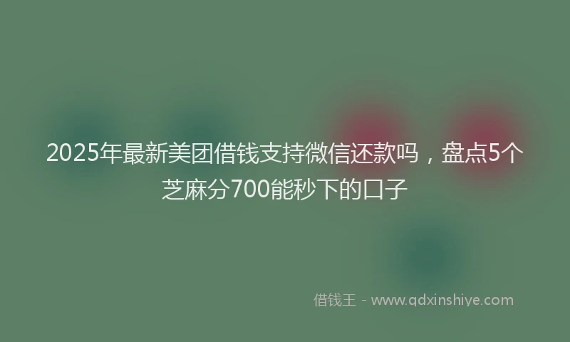 2025年最新美团借钱支持微信还款吗，盘点5个芝麻分700能秒下的口子