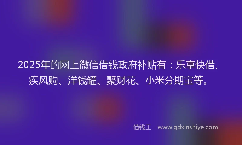 2025年的网上微信借钱政府补贴有：乐享快借、疾风购、洋钱罐、聚财花、小米分期宝等。