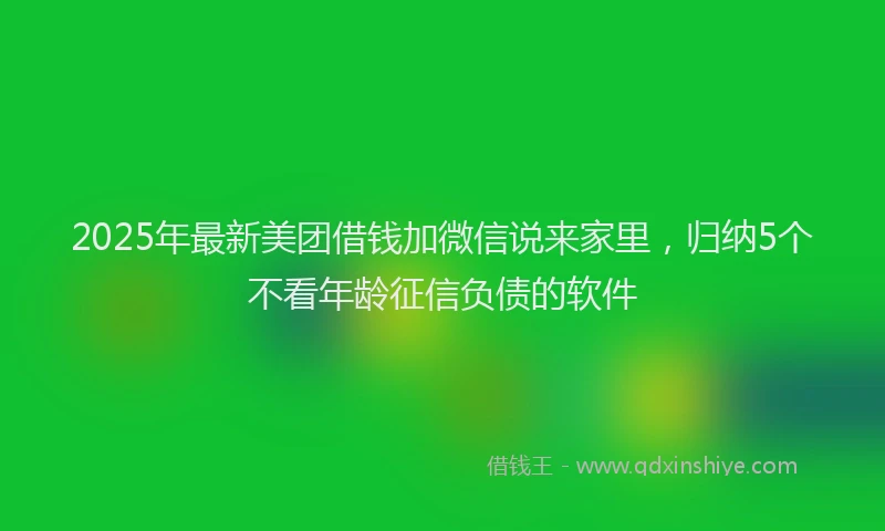 2025年最新美团借钱加微信说来家里，归纳5个不看年龄征信负债的软件