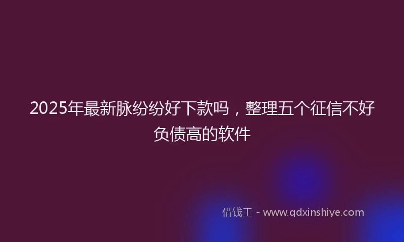 2025年最新脉纷纷好下款吗，整理五个征信不好负债高的软件