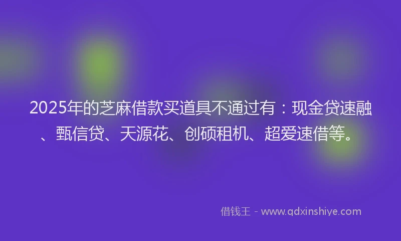2025年的芝麻借款买道具不通过有：现金贷速融、甄信贷、天源花、创硕租机、超爱速借等。