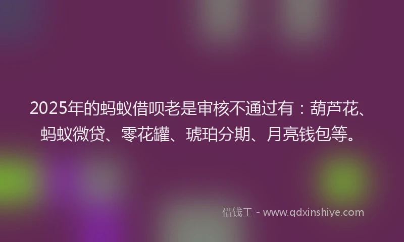 2025年的蚂蚁借呗老是审核不通过有：葫芦花、蚂蚁微贷、零花罐、琥珀分期、月亮钱包等。