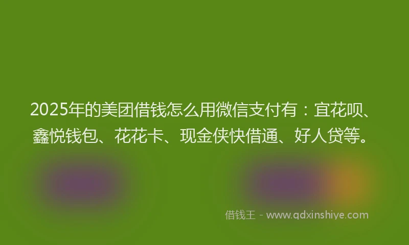 2025年的美团借钱怎么用微信支付有：宜花呗、鑫悦钱包、花花卡、现金侠快借通、好人贷等。