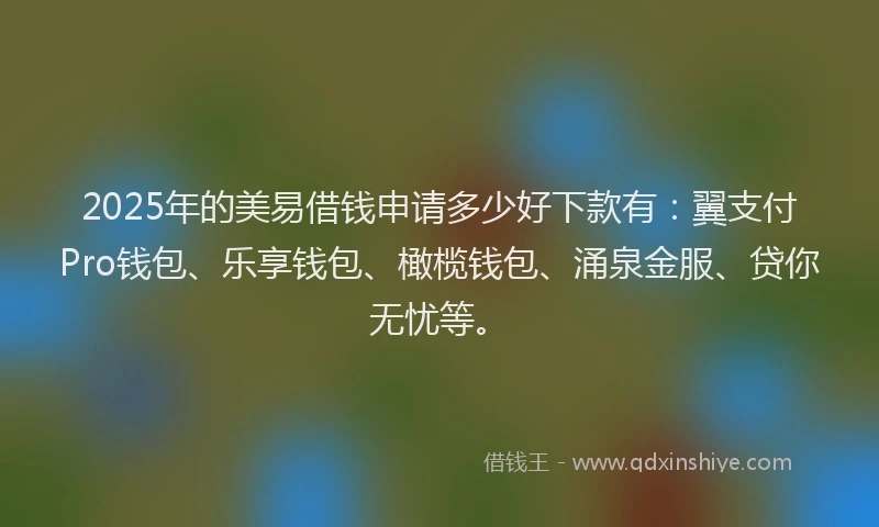 2025年的美易借钱申请多少好下款有：翼支付Pro钱包、乐享钱包、橄榄钱包、涌泉金服、贷你无忧等。